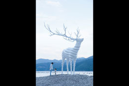Reborn-Art Festival