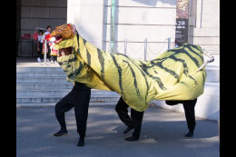 岩手県陸前高田市　槻沢梯子虎舞