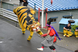 岩手県大槌町　吉里吉里虎舞